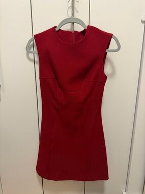 Zara Sleeveless Deep Red Mini Dress
